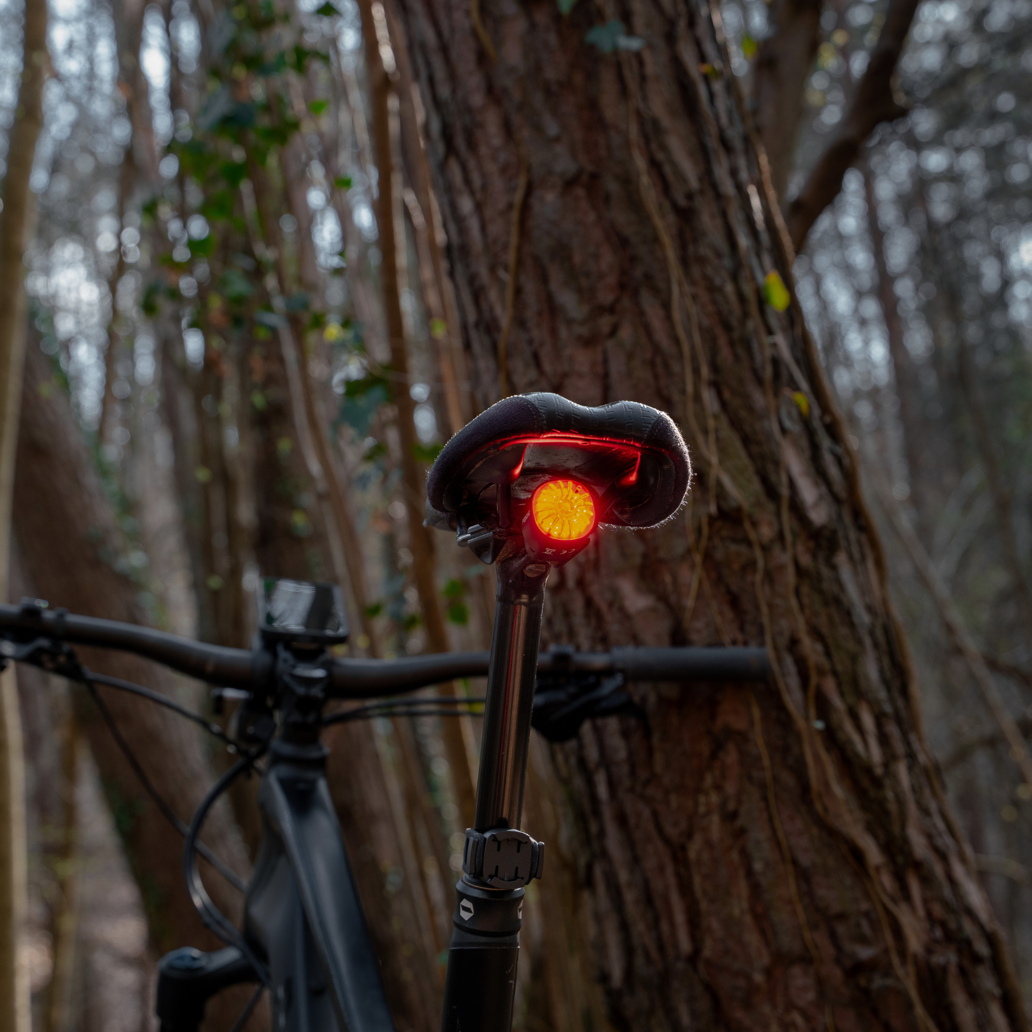 Fahrrad-Rücklicht inkl. Bremssensor